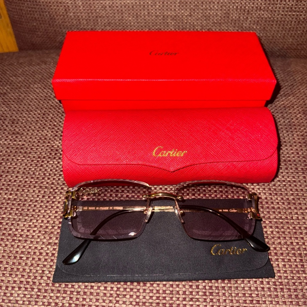 Cartier CT00920 Sunglasses